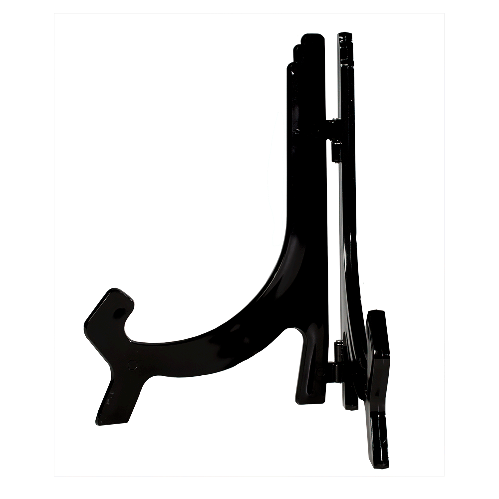 Championship Belt Display Stand