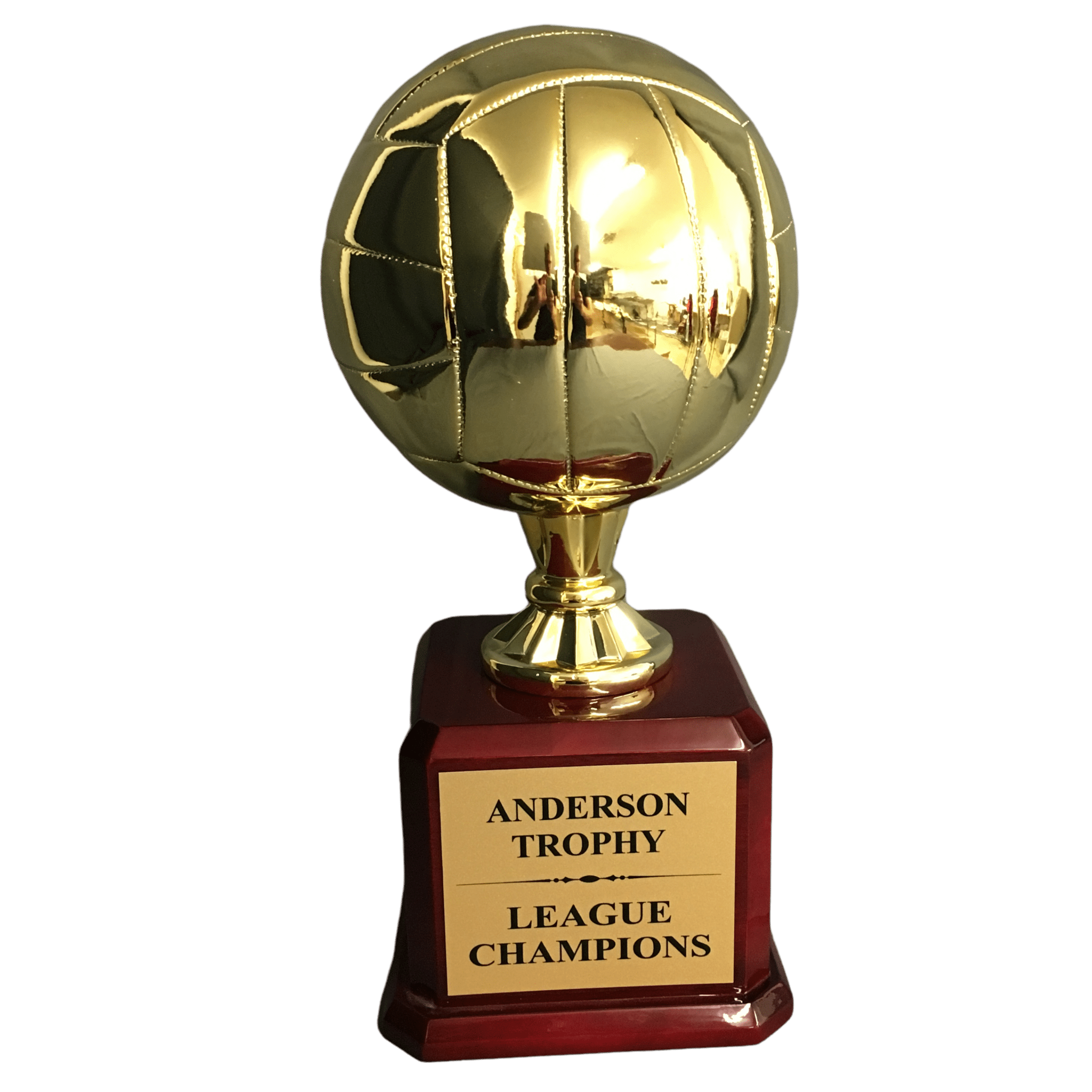 Gold Champions Volleyball Trophy on Woodgrain Finish Base