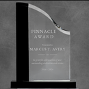 Black Wave Glass Corporate Award