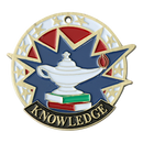 338 USA Sport Series Lamp of Knowledge Themed Medal