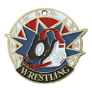 338 USA Sport Series Wrestling Themed Medal
