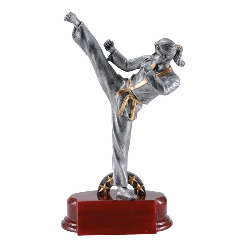 3RFC Sport Series Martial Arts Resin Trophy - Anderson Trophy Co.