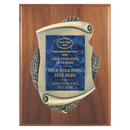 2E45 Framed Series Blue Marble to Gold Laser Plaque