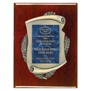 2E45 Framed Series Blue Marble to Gold Laser Plaque