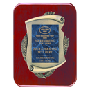 2E45 Framed Series Blue Marble to Gold Laser Plaque