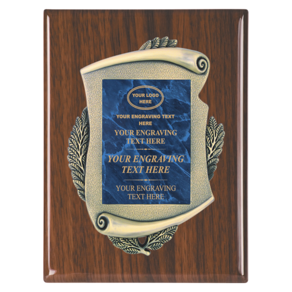 2E45 Framed Series Blue Marble to Gold Laser Plaque