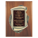 2E45 Framed Series Burgundy Marble to Gold Laser Plaque