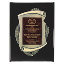 2E45 Framed Series Burgundy Marble to Gold Laser Plaque