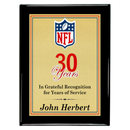 Custom Color Series Plaque Award - P Class