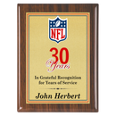 Custom Color Series Plaque Award - P Class