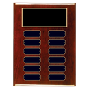 12 Update 9" x 12" Perpetual Plaque - Series 12-9-A-BBG