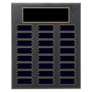 24 Update 10.5" x 13" Perpetual Plaque - Series 24-10-A-BBG