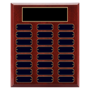24 Update 10.5" x 13" Perpetual Plaque - Series 24-10-A-BBG