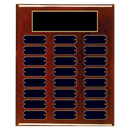 24 Update 10.5" x 13" Perpetual Plaque - Series 24-10-A-BBG