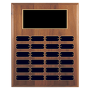 24 Update 12" x 15" Perpetual Plaque - Series 24-12-A-BBG