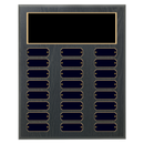 24 Update 12" x 15" Perpetual Plaque - Series 24-12-B-BBG