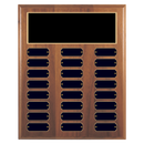 24 Update 12" x 15" Perpetual Plaque - Series 24-12-B-BBG