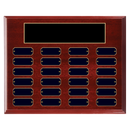 24 Update 12" x 15" Perpetual Plaque - Series 24-12-C-BBG