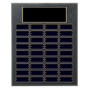 36 Update 12" x 15" Perpetual Plaque - Series 36-12-A-BBG