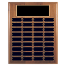 36 Update 12" x 15" Perpetual Plaque - Series 36-12-A-BBG