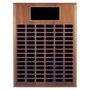 84 Update 18" x 24" Perpetual Plaque - Series 84-18-A-BBG