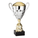 AMC89 Series Championship Trophy Cup Award - Anderson Trophy Co.