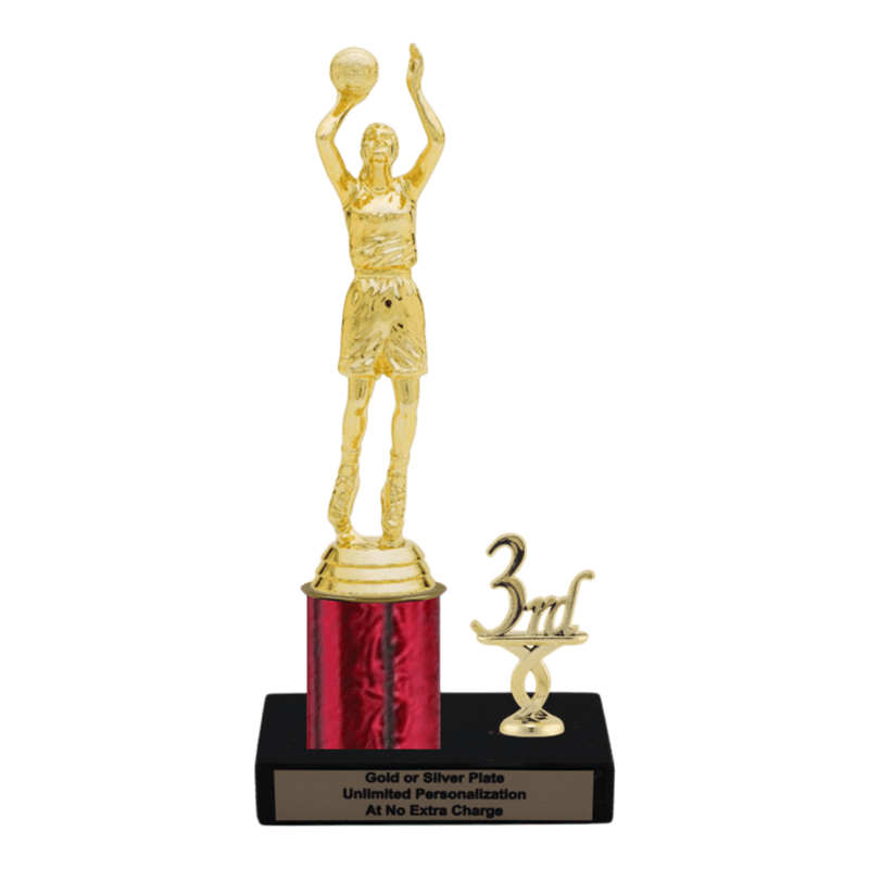 Custom Basketball Trophy - Type L Series 3505 - Anderson Trophy Co.