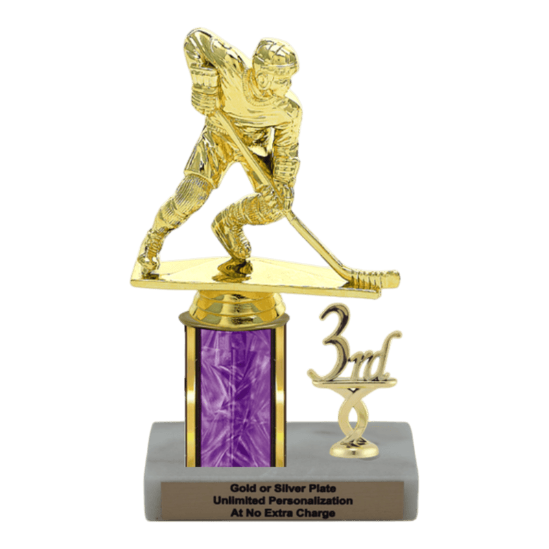 Custom Hockey Trophy - Type L Series 34041 - Anderson Trophy Co.