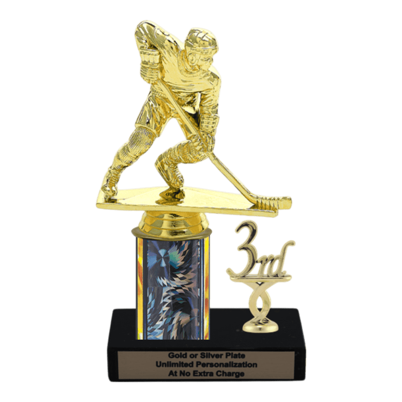 Custom Hockey Trophy - Type L Series 34041 - Anderson Trophy Co.