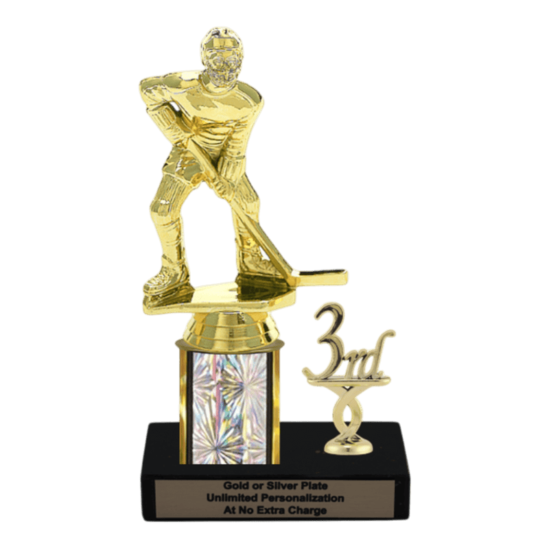 Custom Hockey Trophy - Type L Series 3541 - Anderson Trophy Co.