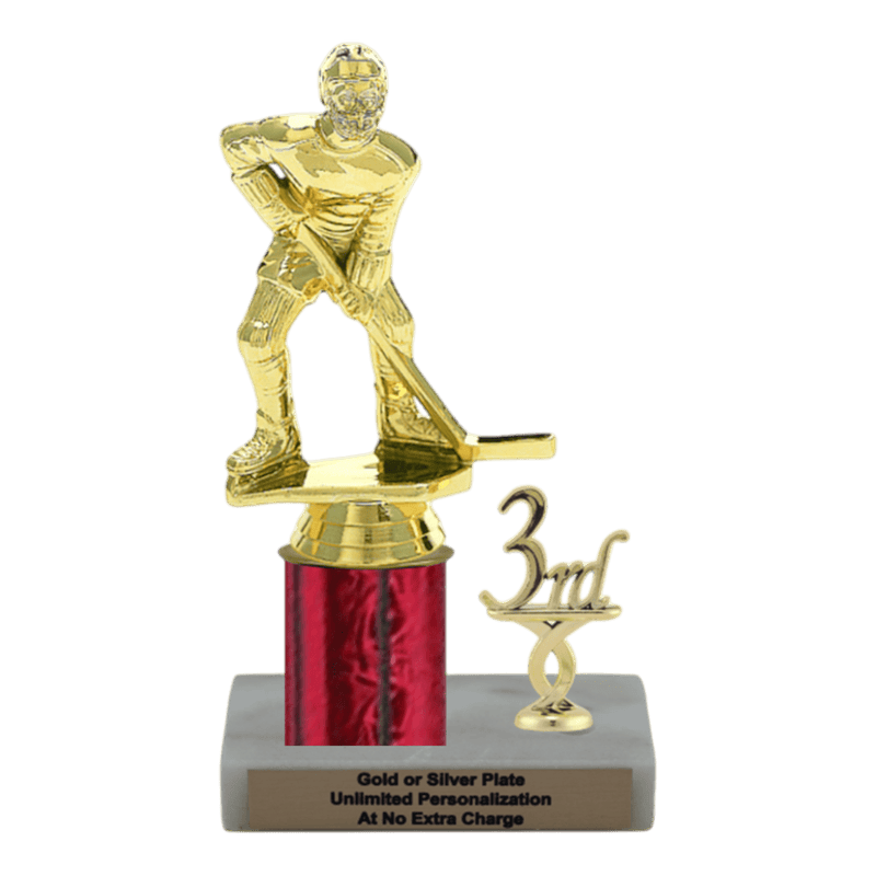 Custom Hockey Trophy - Type L Series 3541 - Anderson Trophy Co.