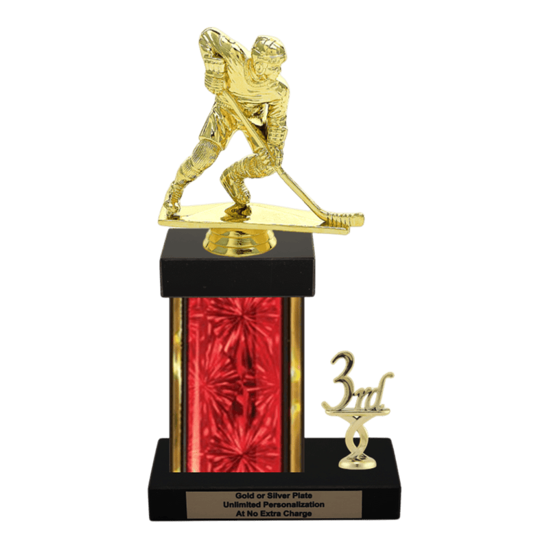 Custom Hockey Trophy - Type N Series 34041 - Anderson Trophy Co.