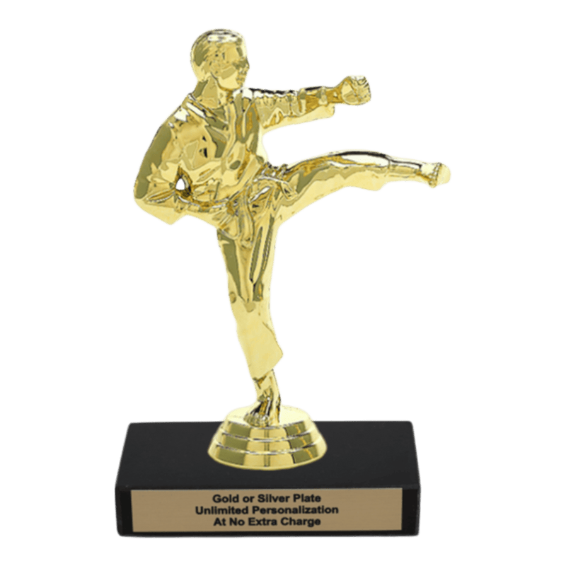 Custom Karate Kick Trophy - Type A Series 3623 - Anderson Trophy Co.