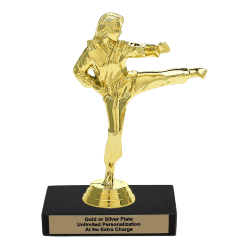 Custom Karate Kick Trophy - Type A Series 3623 - Anderson Trophy Co.