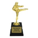 Custom Karate Kick Trophy - Type A1 Series 3623 - Anderson Trophy Co.