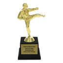 Custom Karate Kick Trophy - Type A1 Series 3623 - Anderson Trophy Co.