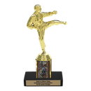 Custom Karate Kick Trophy - Type C Series 3623 - Anderson Trophy Co.