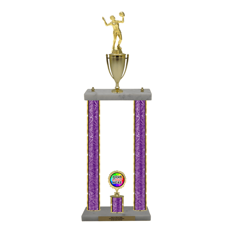 Custom Volleyball 2 Post Trophy - Series 3518/2C17B - Anderson Trophy Co.