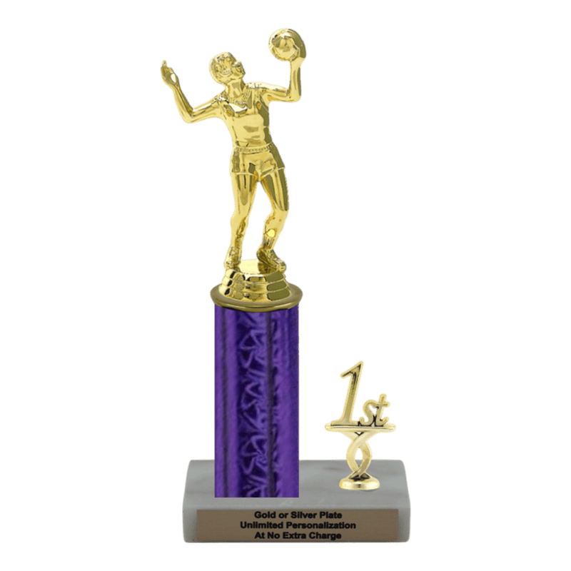 Custom Volleyball Trophy - Type L Series 3518 - Anderson Trophy Co.