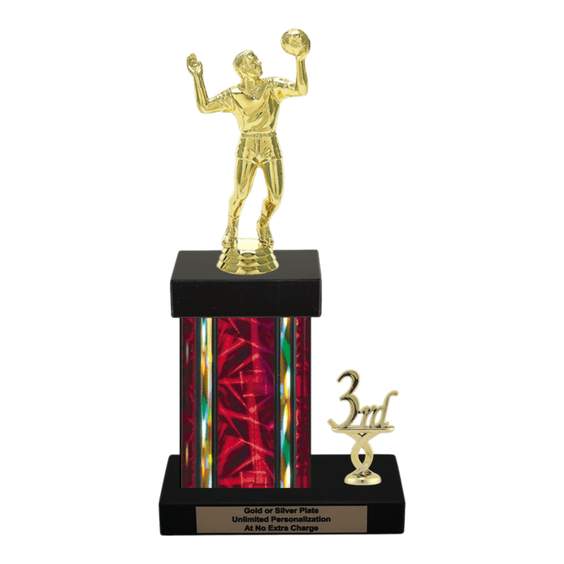 Custom Volleyball Trophy - Type N Series 3518 - Anderson Trophy Co.