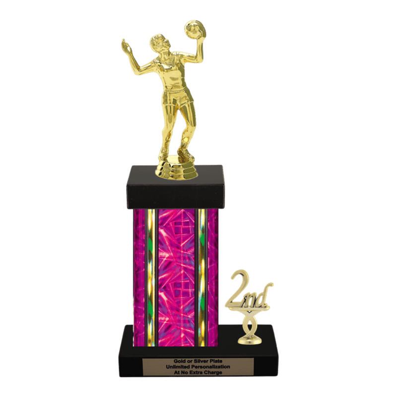 Custom Volleyball Trophy - Type N Series 3518 - Anderson Trophy Co.