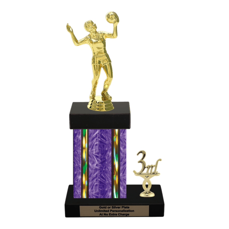 Custom Volleyball Trophy - Type N Series 3518 - Anderson Trophy Co.