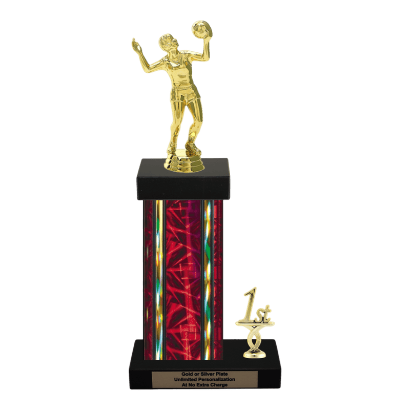 Custom Volleyball Trophy - Type N Series 3518 - Anderson Trophy Co.