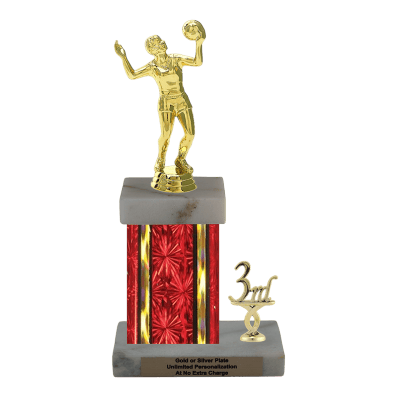 Custom Volleyball Trophy - Type N Series 3518 - Anderson Trophy Co.