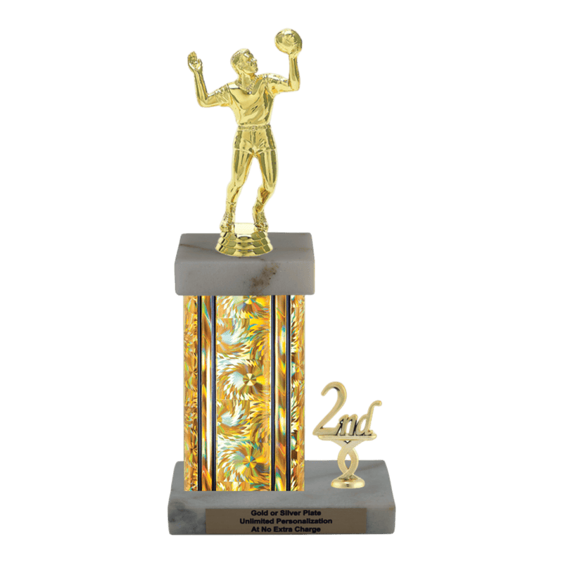 Custom Volleyball Trophy - Type N Series 3518 - Anderson Trophy Co.