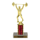 Custom Weightlifting Trophy - Type C Series 3633 - Anderson Trophy Co.