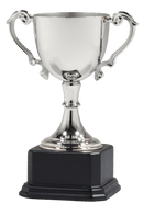 DC3 Series Golf Trophy Cup Award - Anderson Trophy Co.