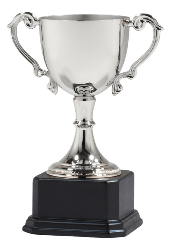 DC3 Series Golf Trophy Cup Award - Anderson Trophy Co.