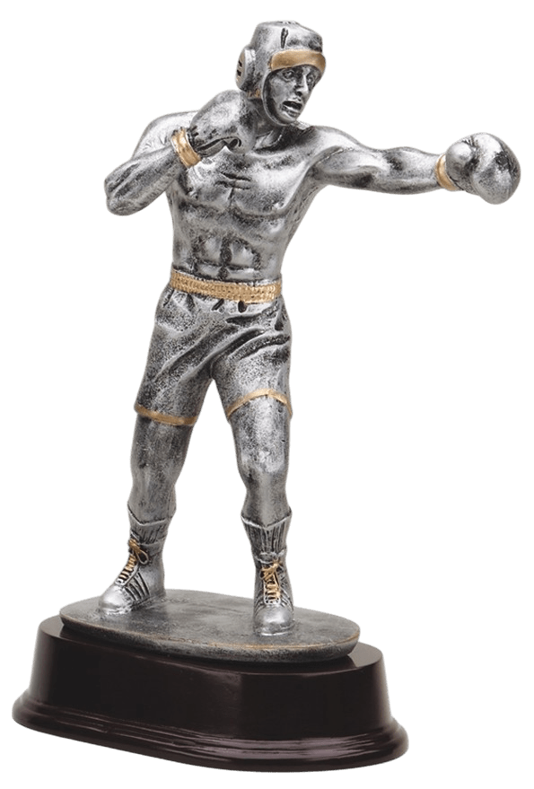 Pewter Sculpture Series Boxing Resin Trophy - Anderson Trophy Co.