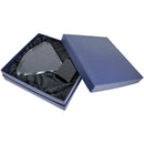 Premier Crystal Fan Series Glass Award - AndersonTrophy.com